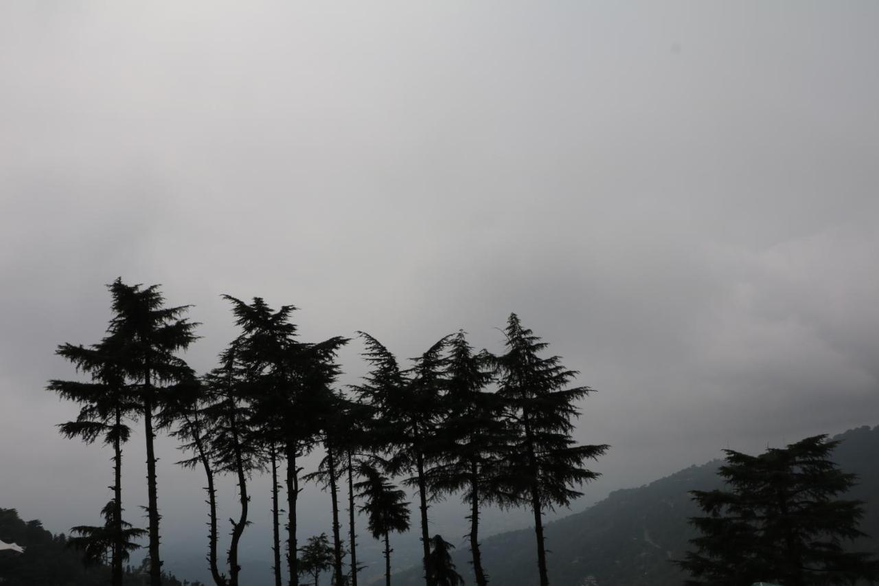 Pema Thang Hotel Kangra Exteriör bild