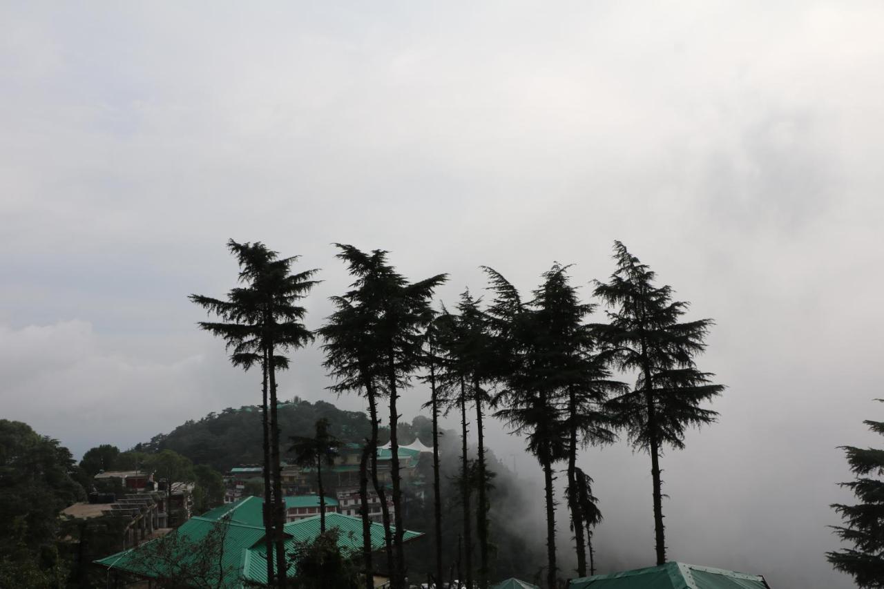 Pema Thang Hotel Kangra Exteriör bild